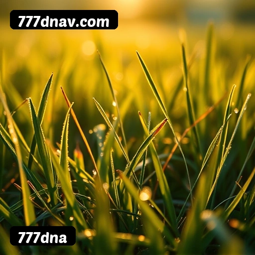 Guia visual quadrado da instalação APK 777dna